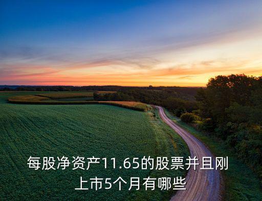 九州通集團(tuán)上市