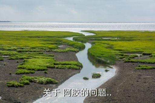 關(guān)于 阿膠的問(wèn)題..