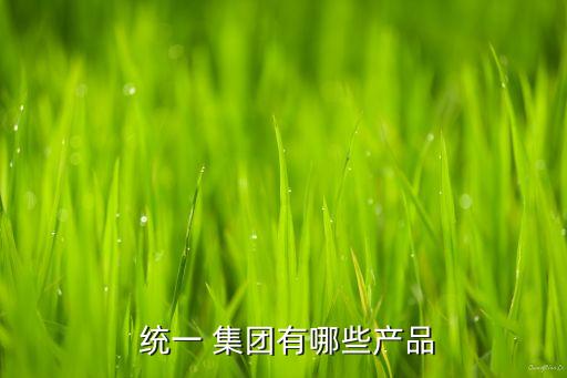  統(tǒng)一 集團有哪些產品