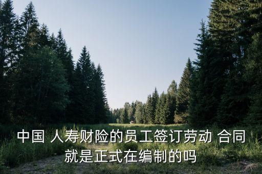 中國人壽財(cái)產(chǎn)保險(xiǎn)股份有限公司保險(xiǎn)合同