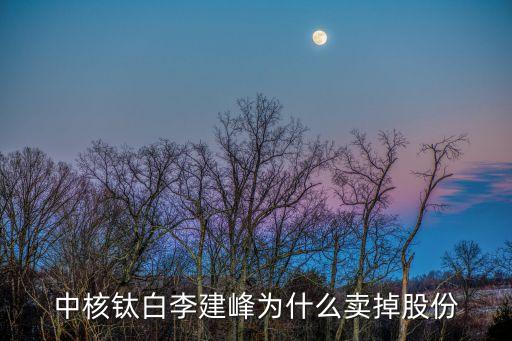中核鈦白李建峰為什么賣(mài)掉股份