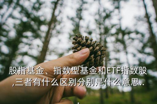 股指基金、指數(shù)型基金和ETF指數(shù)股,三者有什么區(qū)別分別是什么意思...