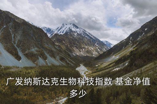廣發(fā)納斯達克生物科技指數 基金凈值多少