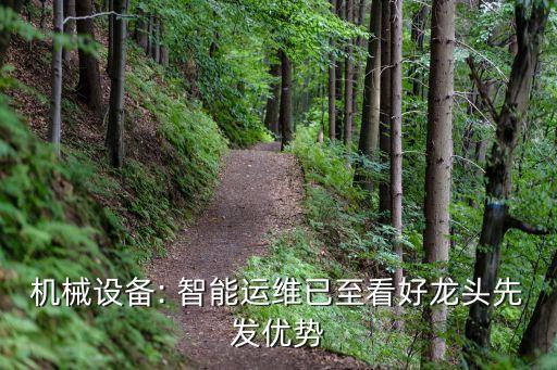 機(jī)械設(shè)備: 智能運(yùn)維已至看好龍頭先發(fā)優(yōu)勢