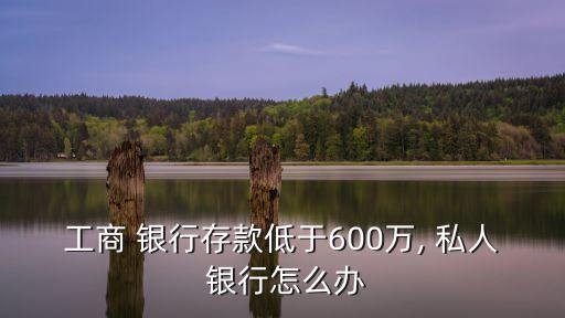 工商 銀行存款低于600萬(wàn), 私人 銀行怎么辦