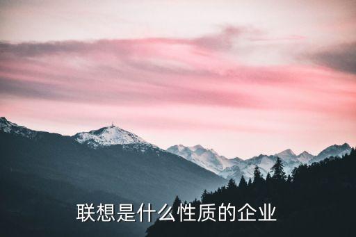 聯(lián)想是什么性質的企業(yè)