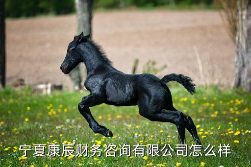 寧夏康辰財務咨詢有限公司怎么樣