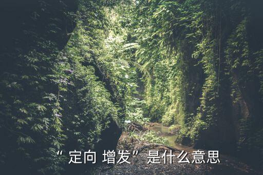 投資定向增發(fā)機構(gòu),定向增發(fā)虧損了,機構(gòu)怎么處理
