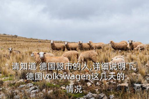 請知道 德國股市的人,詳細說明下, 德國volkswagen這幾天的情況