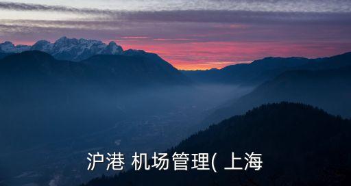 上海機場集團王吉杰,上海建科集團王吉杰
