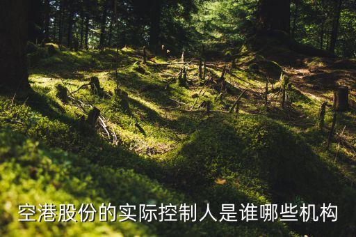 建設(shè)銀行流通股股東,流通股新進股東多有什么影響