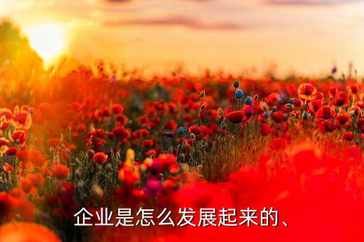 企業(yè)是怎么發(fā)展起來(lái)的、