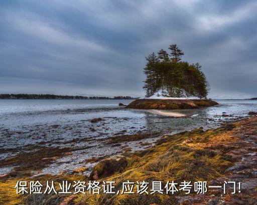 保險(xiǎn)從業(yè)資格證,應(yīng)該具體考哪一門(mén)!