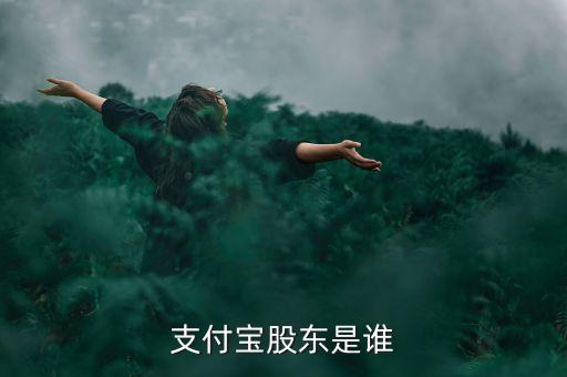 支付寶股東是誰(shuí)