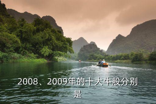 2008、2009年的十大牛股分別是