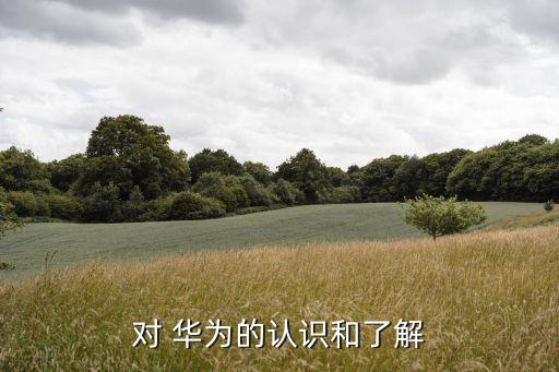 對(duì) 華為的認(rèn)識(shí)和了解
