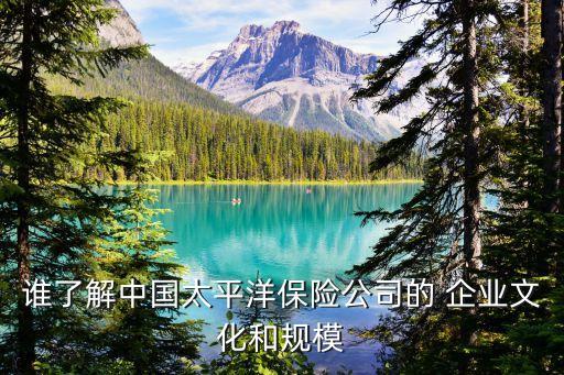 誰了解中國太平洋保險(xiǎn)公司的 企業(yè)文化和規(guī)模