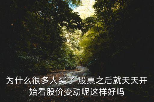 為什么很多人買了 股票之后就天天開(kāi)始看股價(jià)變動(dòng)呢這樣好嗎