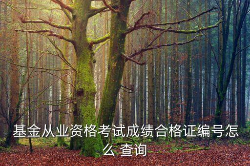  基金從業(yè)資格考試成績(jī)合格證編號(hào)怎么 查詢(xún)
