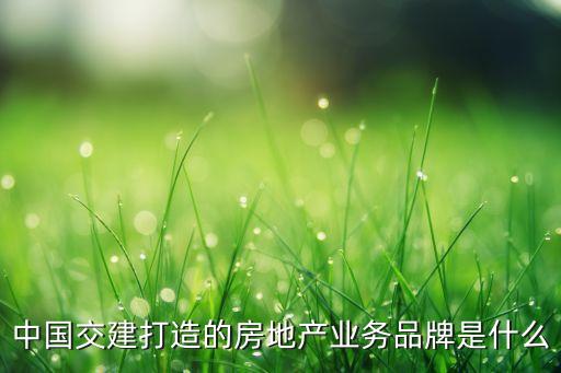 目前中國(guó)交建打造的房地產(chǎn)業(yè)務(wù)品牌是什么