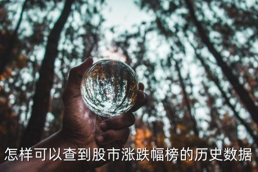 股票指標(biāo)統(tǒng)計歷史統(tǒng)計,怎樣查股票歷史波動率指標(biāo)