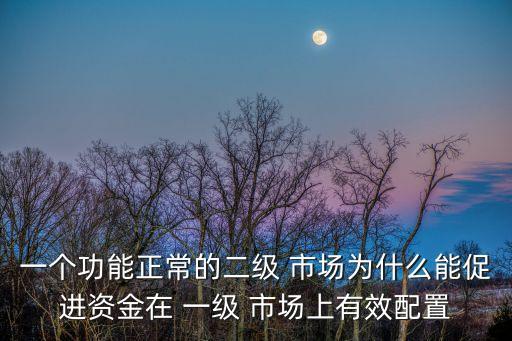 一個功能正常的二級 市場為什么能促進(jìn)資金在 一級 市場上有效配置