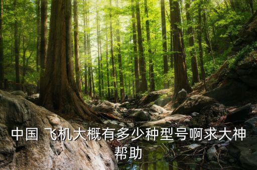中國(guó)飛機(jī)中國(guó)新心