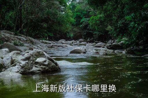  上海新版社?？睦飺Q