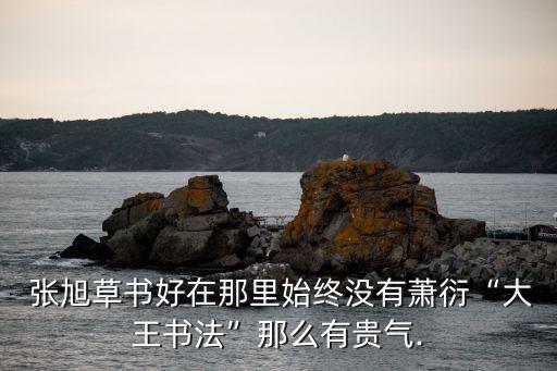  張旭草書好在那里始終沒(méi)有蕭衍“大王書法”那么有貴氣.