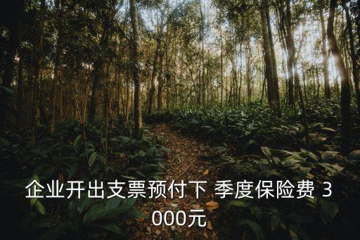 企業(yè)開出支票預(yù)付下 季度保險費(fèi) 3000元