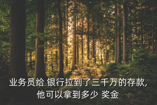 業(yè)務(wù)員給 銀行拉到了三千萬(wàn)的存款,他可以拿到多少 獎(jiǎng)金
