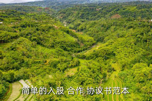 簡(jiǎn)單的入股 合作 協(xié)議書(shū)范本