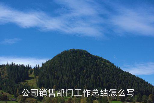  公司銷(xiāo)售部門(mén)工作總結(jié)怎么寫(xiě)