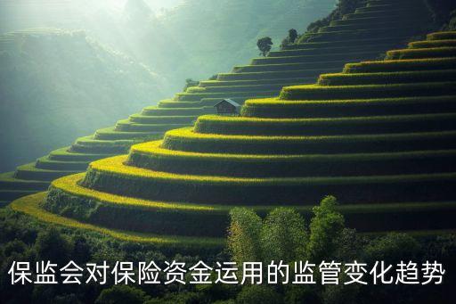 保監(jiān)會對保險資金運用的監(jiān)管變化趨勢