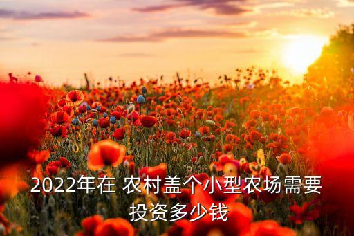 2022年在 農(nóng)村蓋個(gè)小型農(nóng)場(chǎng)需要 投資多少錢(qián)