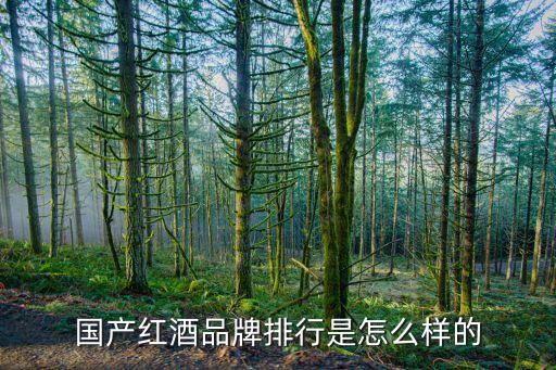國產紅酒品牌排行是怎么樣的