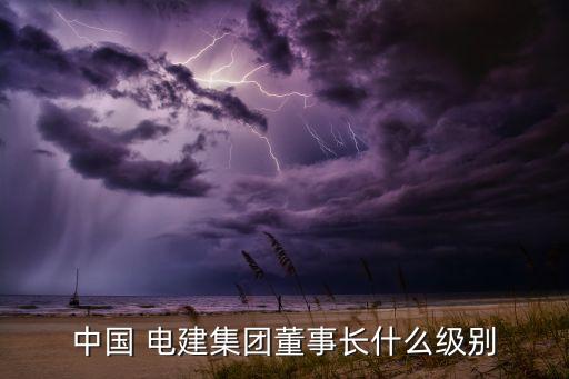 中國(guó) 電建集團(tuán)董事長(zhǎng)什么級(jí)別