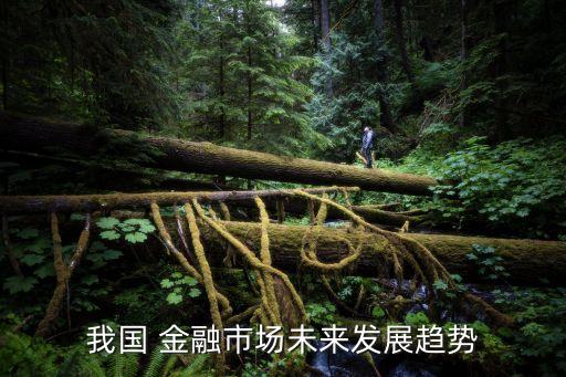 中國金融形勢,金融形勢分析報(bào)告