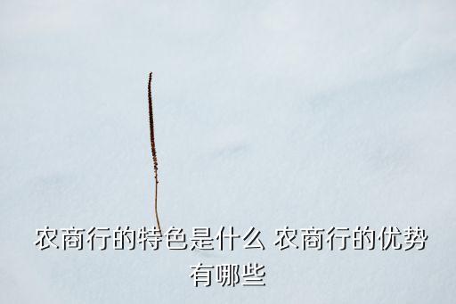  農(nóng)商行的特色是什么 農(nóng)商行的優(yōu)勢(shì)有哪些