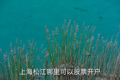 上海松江哪里可以股票開(kāi)戶(hù)