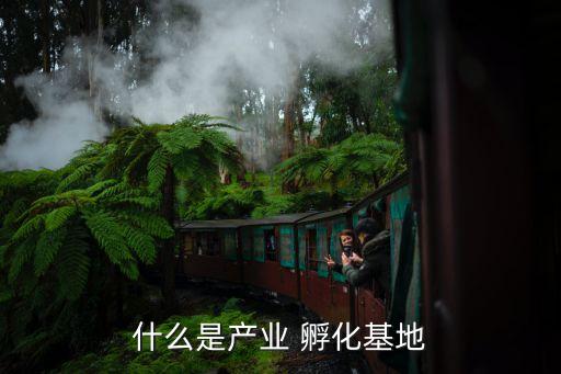什么是產業(yè) 孵化基地