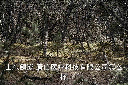 上?？敌湃谫Y租