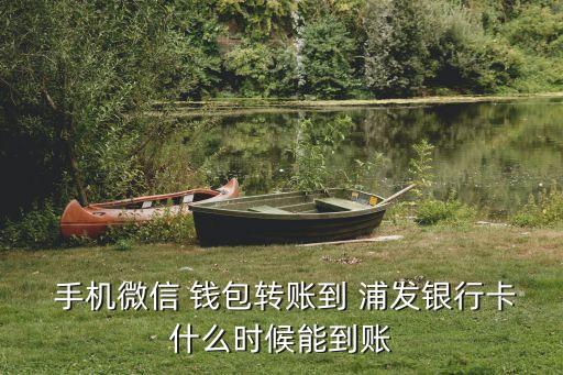 浦發(fā)銀行手機(jī)錢(qián)包