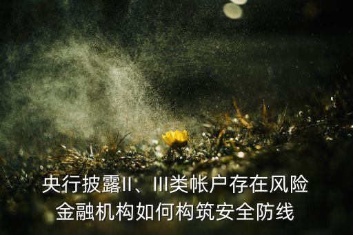 央行披露II、III類帳戶存在風(fēng)險金融機構(gòu)如何構(gòu)筑安全防線