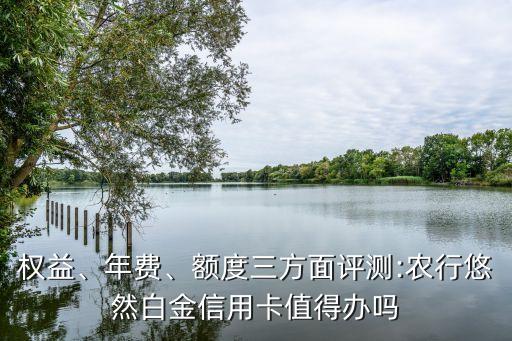 權(quán)益、年費(fèi)、額度三方面評測:農(nóng)行悠然白金信用卡值得辦嗎