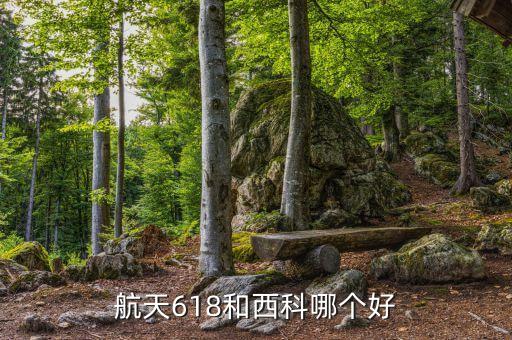 29所西科公司,西科知識(shí)產(chǎn)權(quán)公司