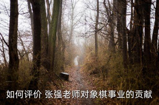 如何評價 張強(qiáng)老師對象棋事業(yè)的貢獻(xiàn)