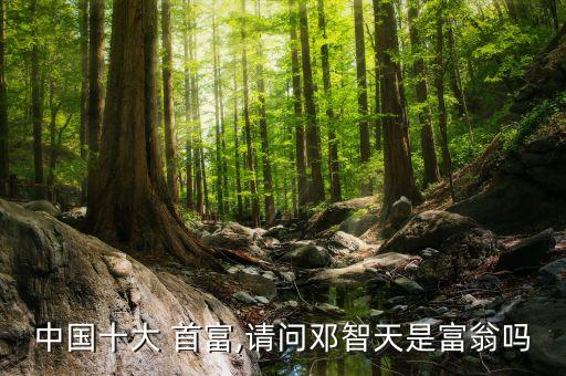 中國(guó)十大 首富,請(qǐng)問(wèn)鄧智天是富翁嗎