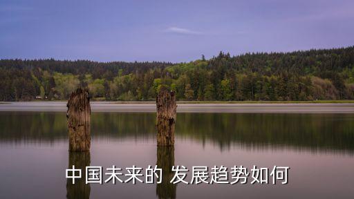 中國(guó)未來(lái)的 發(fā)展趨勢(shì)如何