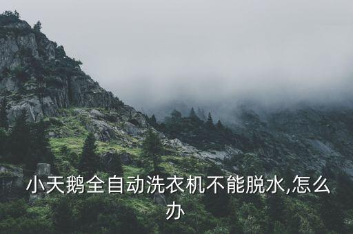 無(wú)錫小天鵝股份有限公司2011年年報(bào),江蘇無(wú)錫小天鵝股份有限公司